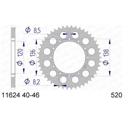 AFAM SPKT A41 RC45 520 CONV [ONC01] #