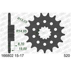 AFAM 17T 520 CONV BMW S1000RR