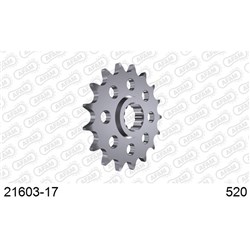 AFAM 17T R-6 99_ 520 CONVERSION  [ONC01] #