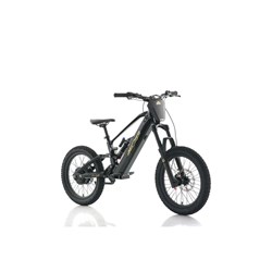 AZONIC ELITE 20 - 48V / 15AH / 1000W