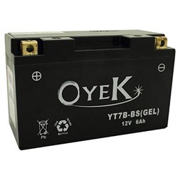 OYEK YB9L-B HEAVY DUTY QTY PR. MULTI 10 (UN2796)  [ONC01] #