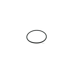 #ZODIAC R/MENT VITON O-RING SEAL (FOR Z120243/Z120244)